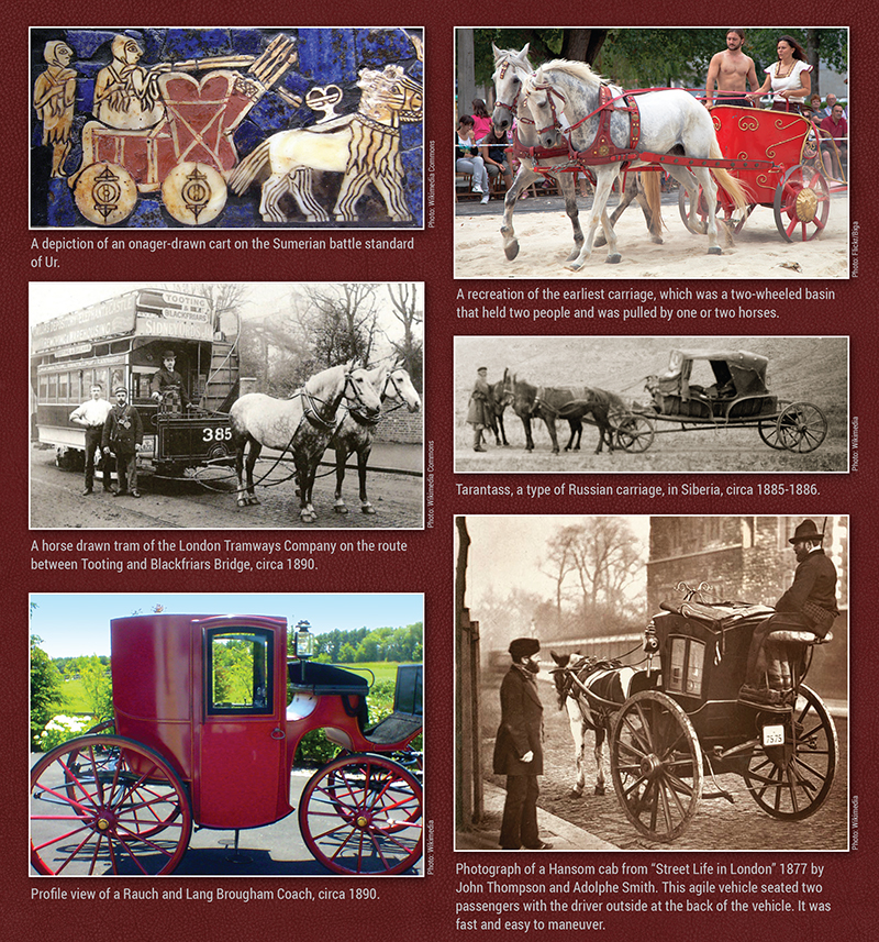 history or horse drawn carriages, history carriage horses