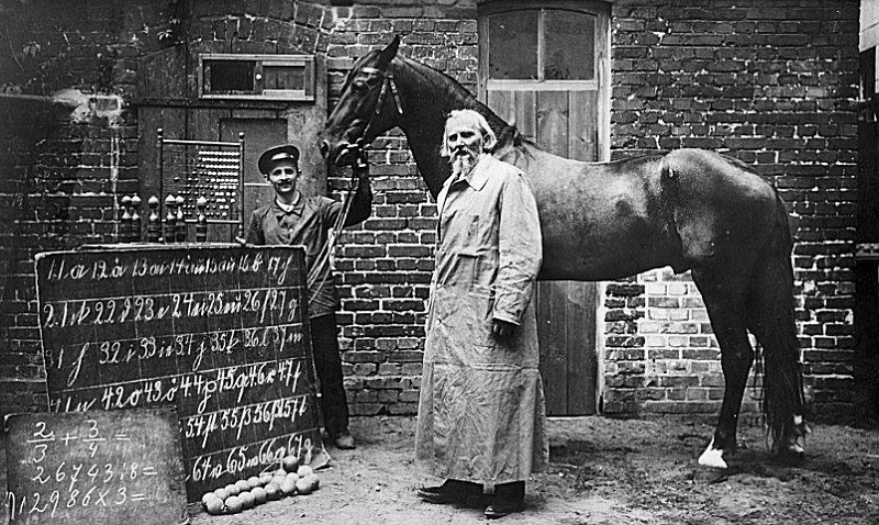 Clever Hans, Wilhelm von Osten, Carl Stumpf, Clever Hans Effect Clever Hans, Wilhelm von Osten, Carl Stumpf, Clever Hans Effect