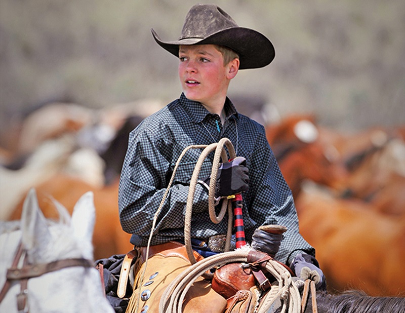 The 21st Century Cowboy | Horse Journals