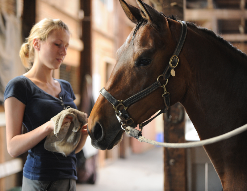 44 Best Gifts For Horse Lovers That Their Heart Skip A Beat