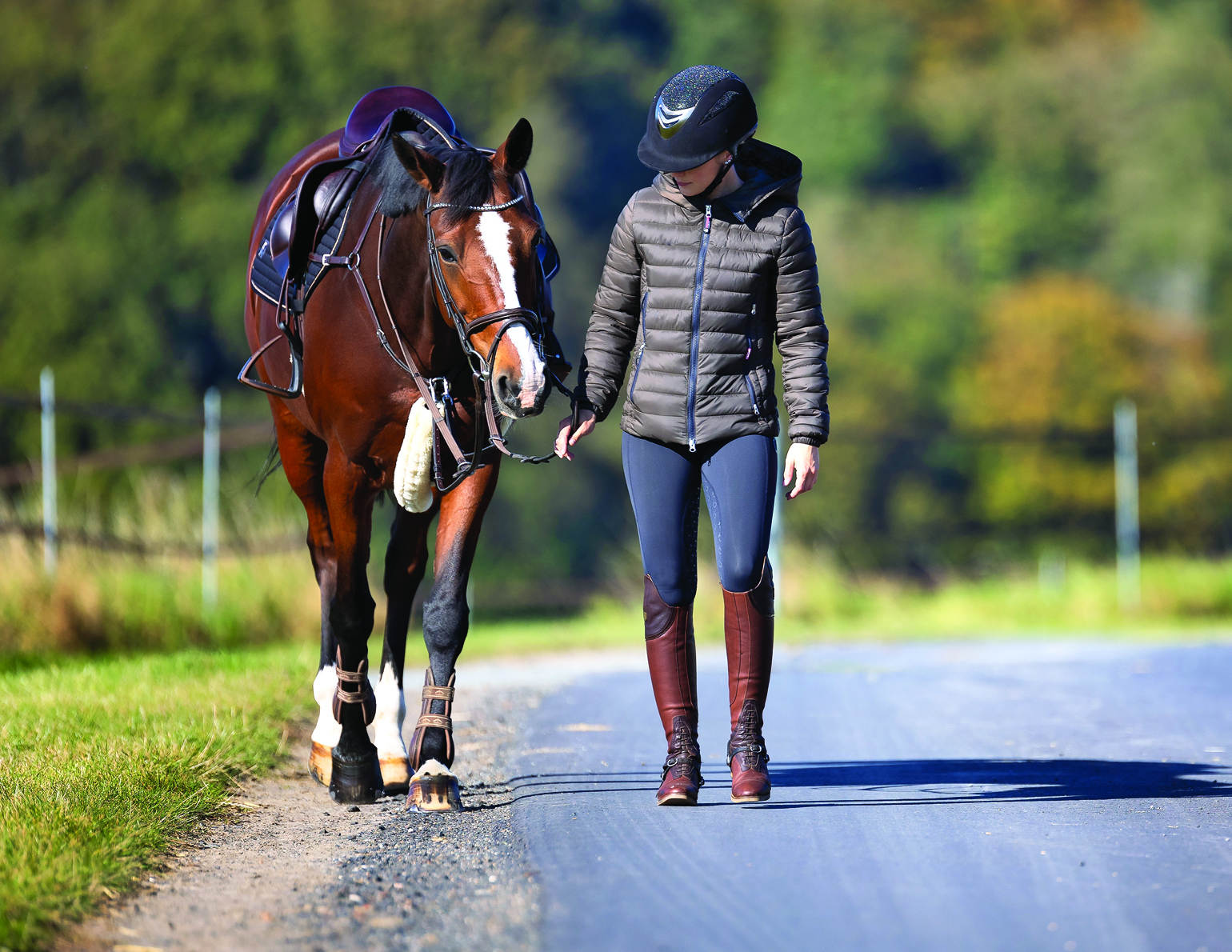 Why does a horse need shoes? - Equestrian Surfaces Ltd 