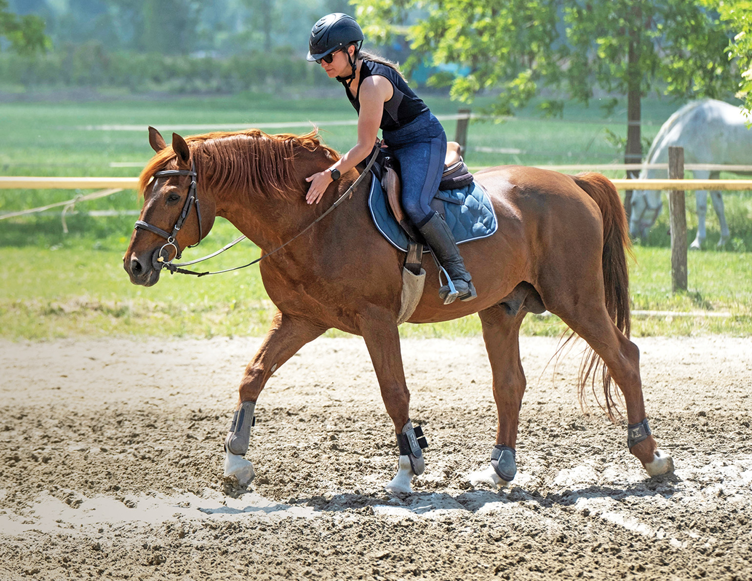 Is This Hard for My Horse? | Horse Journals